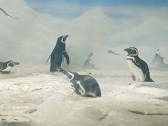 -上海海洋水族馆