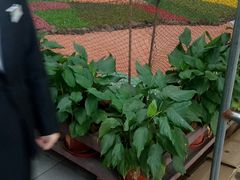 -森谷美食公园(杨行店)