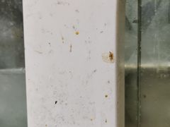 -千家粗粮王海鲜牛排自助餐(西宁海湖万达广场店)