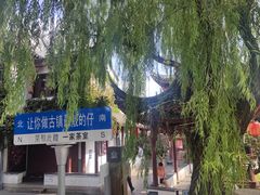-七宝老街臭豆腐
