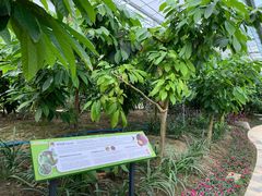 -歌斐颂巧克力小镇