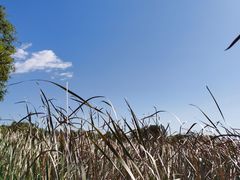 -野鸭湖国家湿地公园