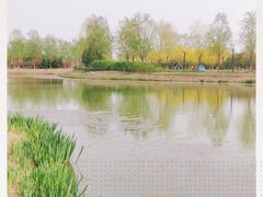 -东郊湿地公园