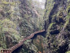 -鹿院坪生态旅游景区