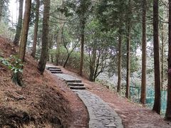 -四明山国家森林公园