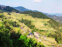 -紫鹊界梯田景区