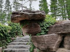 -圩墩遗址公园