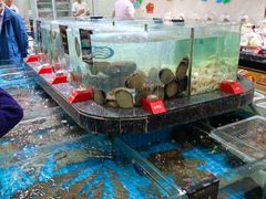 -渔码头食府(蓬莱阁店)