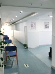 -温州伯思立医院