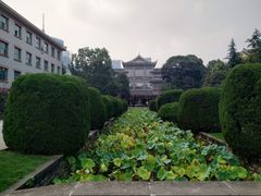 -四川大学(华西校区)