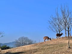-良渚古城遗址公园