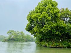 -西溪国家湿地公园