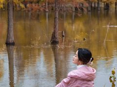 -白鹭湾湿地公园