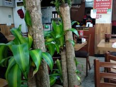 大堂-天瑞福云南过桥米线(十里河店)