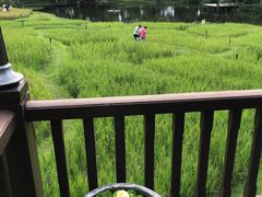 -四季酒店下午茶