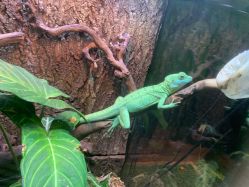 -酷嗒动物文化乐园(cutezoo西溪乐天城店)