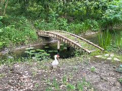 -昆山城市生态森林公园