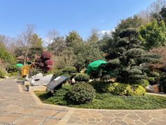 -七彩云南古滇温泉山庄