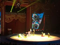 -珠海横琴长隆《卡卡虎奇遇记》