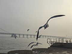 -星海广场