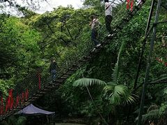 -南丹山森林王国