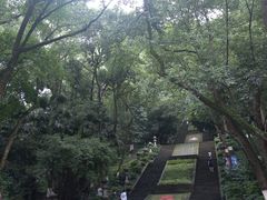 -忠山公园