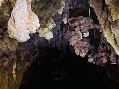 -怀托摩萤火虫洞