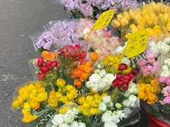 -循礼门鲜花花市(武汉循礼门店)