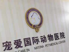 -宠爱国际维尼动物医院·疑难骨科·神经外科·肿瘤科(丰潭路店)