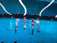 -瑞德姆美人鱼海底演艺主题餐厅(亚龙湾店)