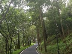 -广州雕塑公园