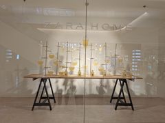-ZARA HOME(长楹天街购物中心店)