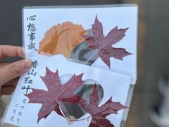 -香山公园