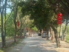 -丹樱生态园