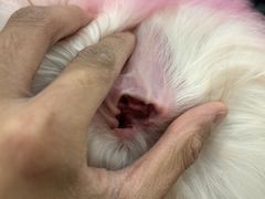 -comecome来吧宠物(奥克斯中心店)