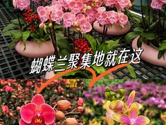 -万顷园艺世界