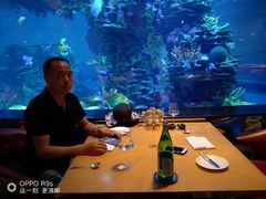 -迪拜帆船酒店海底餐厅
