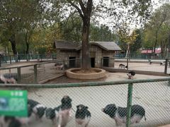 -石家庄市动物园