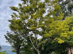 -云南滇池花园国际大酒店温泉