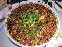 来凤鱼-新概念来凤鱼(璧山店)