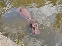 -海南热带野生动植物园