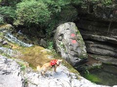 孤山寨风景区-孤山寨风景区