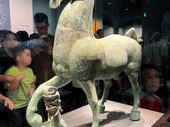 -广西壮族自治区博物馆