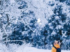 -武陵山森林公园