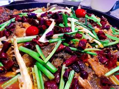 -老板恋上鱼(恒隆广场店)