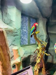 -Zoolung Zoolung动物主题公园(海信广场店)