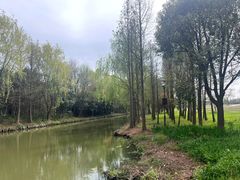 -同里国家湿地公园