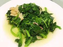 鸡毛菜火腿百叶丝-新吉士·上海菜(浦东LCM置汇旭辉店)