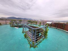 -芒洲湿地公园
