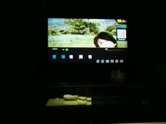 -百威KTV(恒福路店)